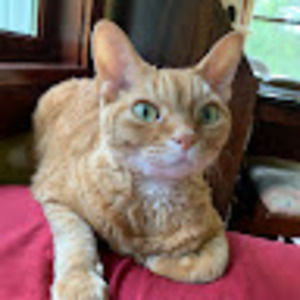 Meet your Posher, Catherine